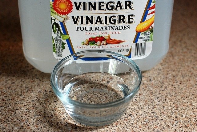 Vinegar in a bowl